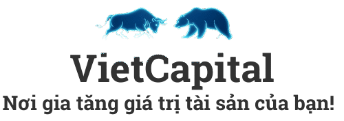 vietcapital.net